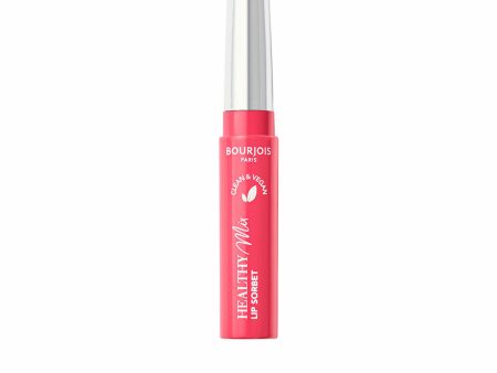 Coloured Lip Balm Bourjois Healthy Mix Nº 04 Scoop ink 7,4 g Online Hot Sale